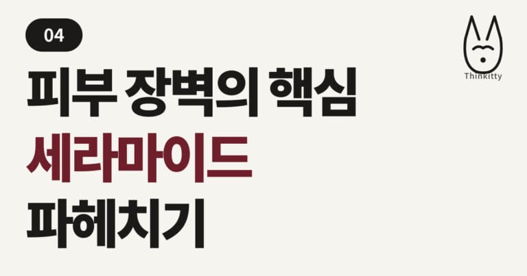 피부 장벽의 핵심 세라마이드 파헤치기